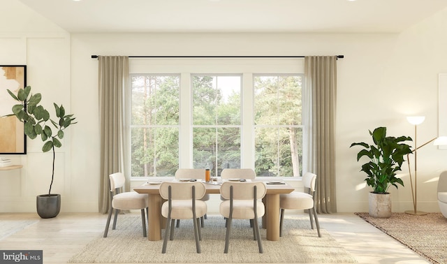 dining room featuring a healthy amount of sunlight and light hardwood / wood-style flooring