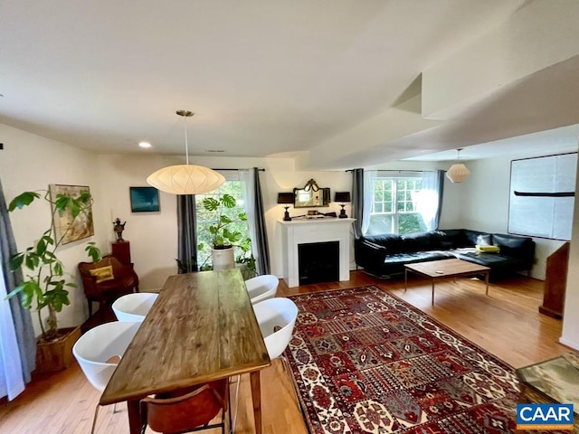 living room featuring wood-type flooring and a healthy amount of sunlight