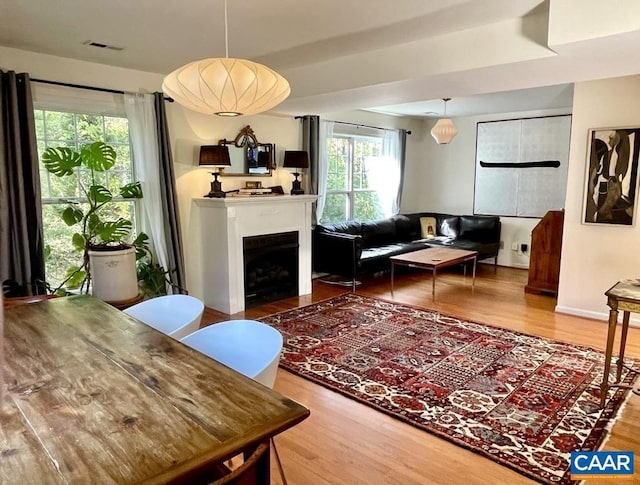 living room with hardwood / wood-style floors