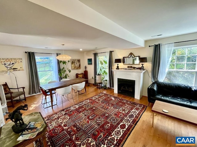 living room with hardwood / wood-style floors