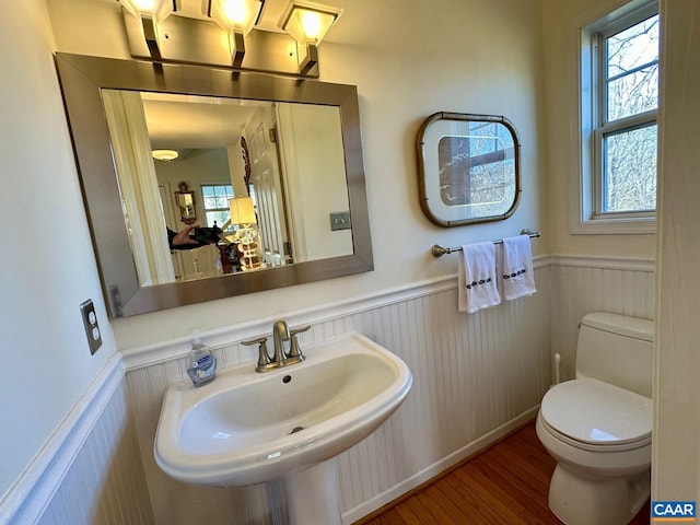 bathroom with wood-type flooring, sink, and toilet