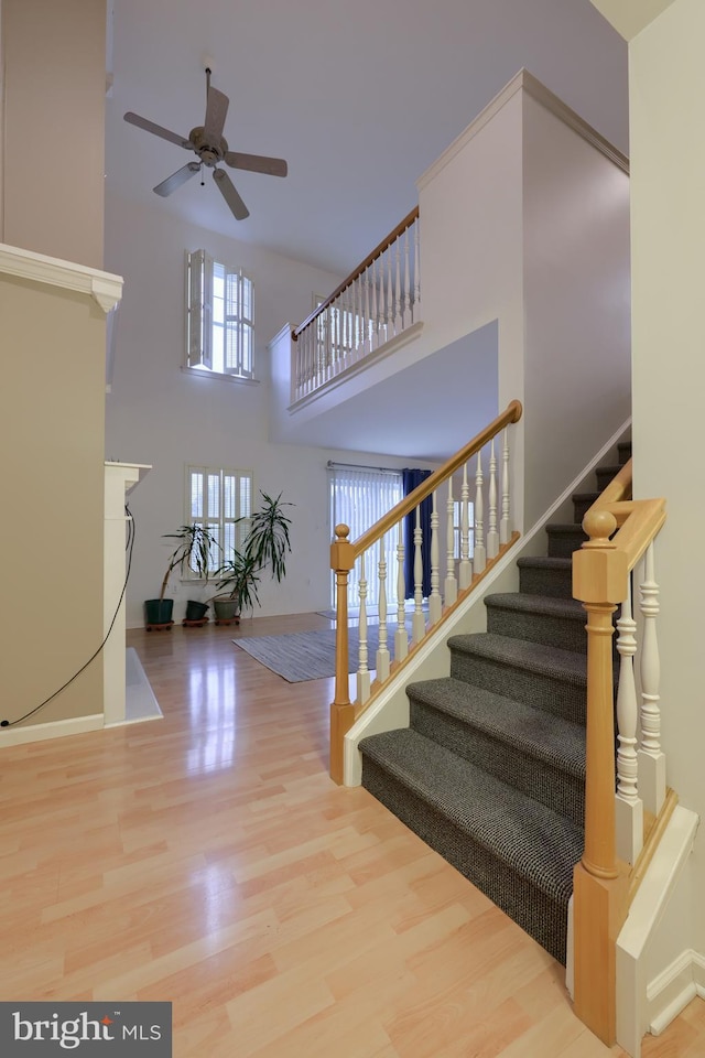 staircase featuring ceiling fan, a towering ceiling, and hardwood / wood-style floors