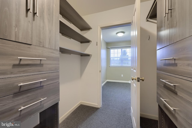 spacious closet with dark carpet