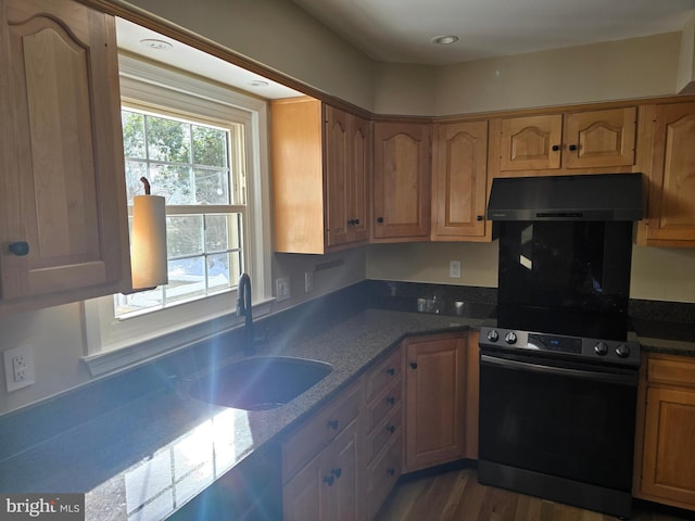 kitchen with dark hardwood / wood-style floors, range hood, sink, and oven