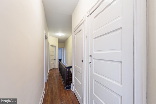 hall featuring dark hardwood / wood-style floors