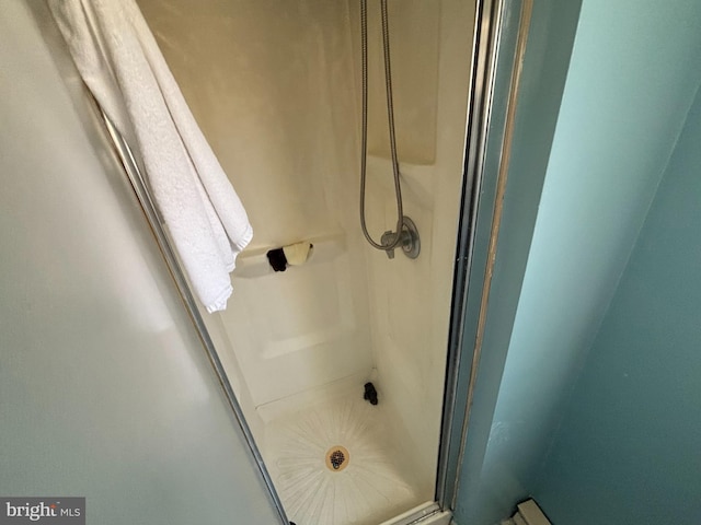 bathroom with a shower