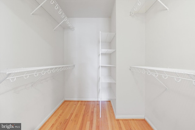 spacious closet featuring wood-type flooring