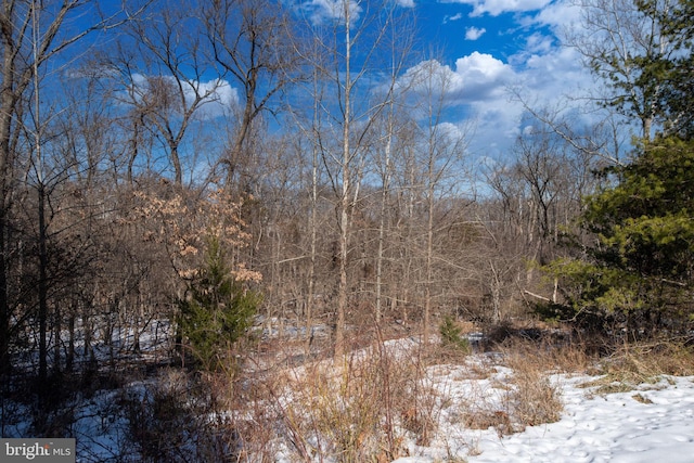 view of snow covered land