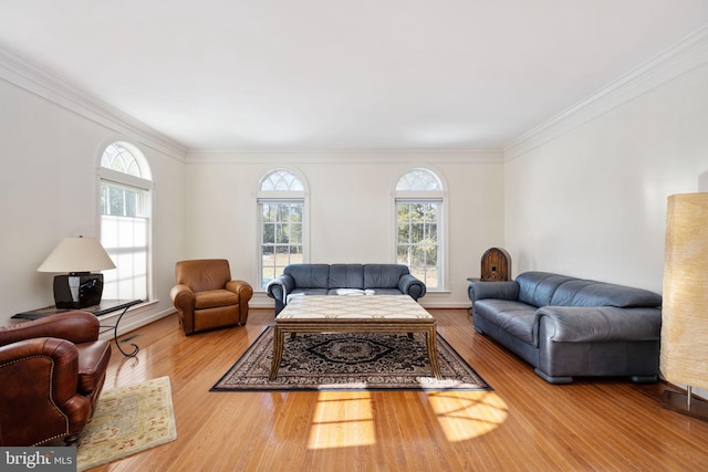 living room with wood-type flooring and crown molding