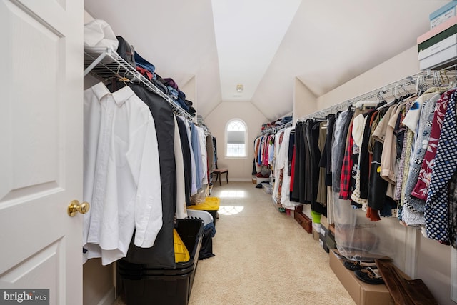 walk in closet featuring vaulted ceiling and carpet