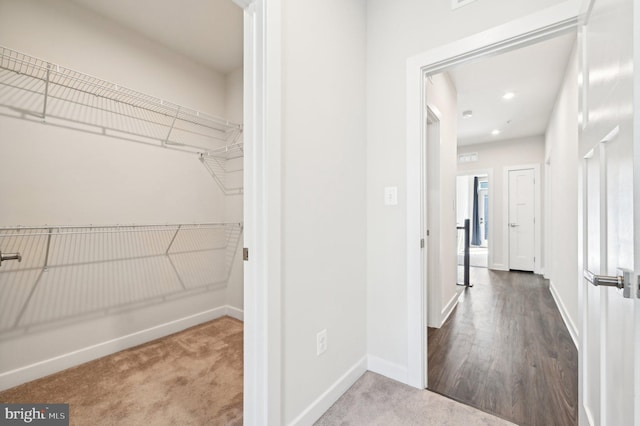 spacious closet with carpet floors