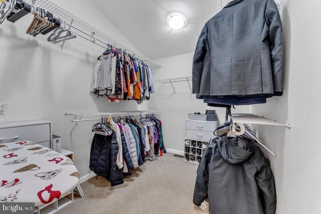 spacious closet with light colored carpet