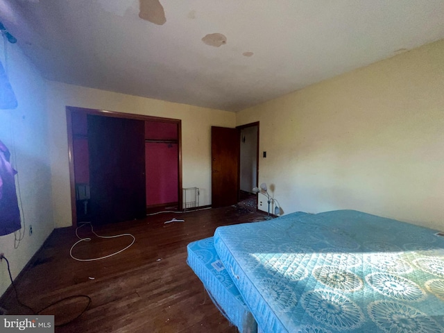 bedroom with dark hardwood / wood-style floors and a closet