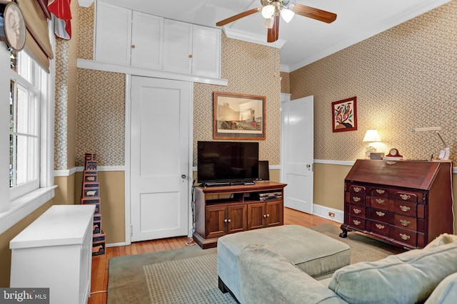 living room featuring ceiling fan, ornamental molding, and light hardwood / wood-style flooring