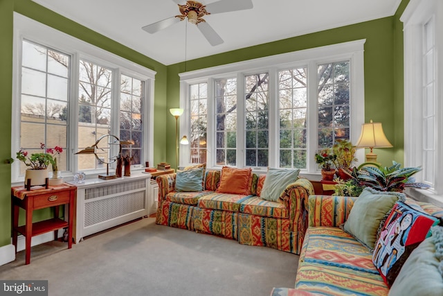 sunroom with ceiling fan, radiator, and a wealth of natural light