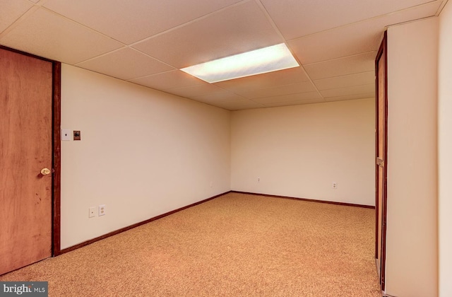 spare room featuring light carpet and a paneled ceiling