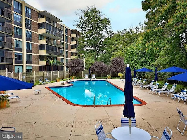 view of pool with a patio area