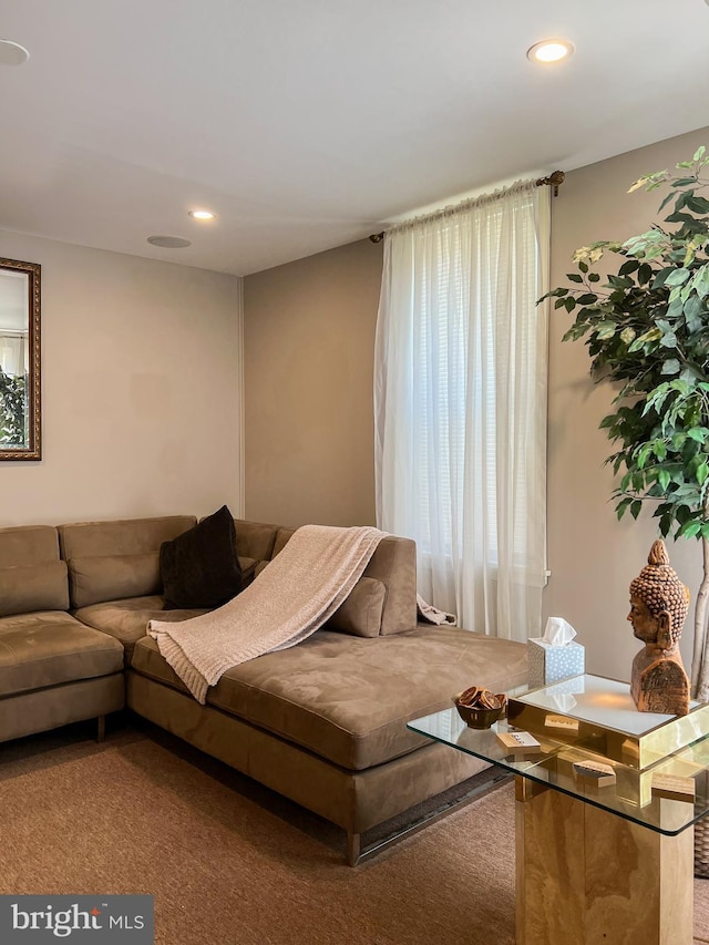 living room featuring carpet flooring