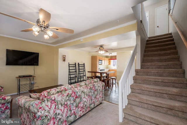 carpeted living room with crown molding and ceiling fan