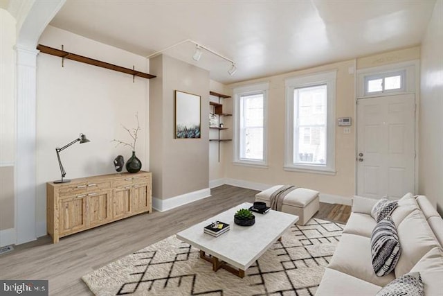 living room featuring rail lighting and light hardwood / wood-style flooring