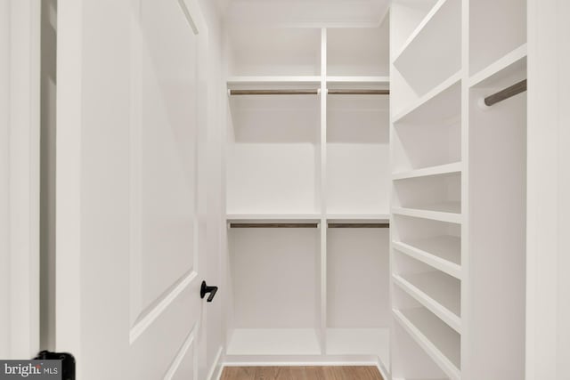 spacious closet with wood finished floors