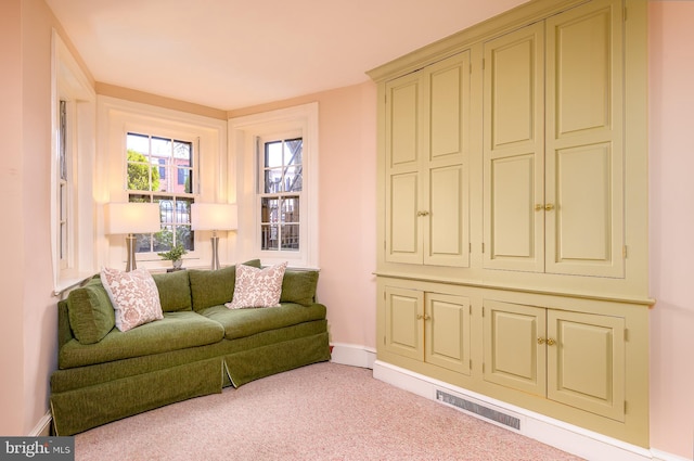 living room featuring light colored carpet