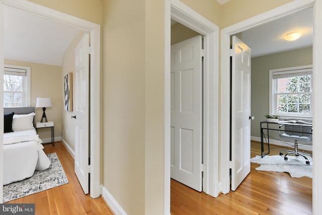 corridor with hardwood / wood-style floors and plenty of natural light