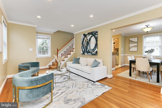 living room featuring crown molding and light hardwood / wood-style flooring