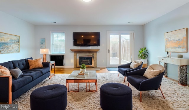 living room with light hardwood / wood-style floors