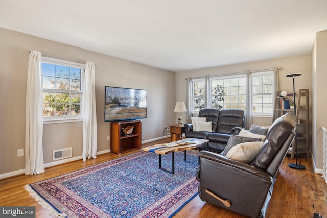 living room featuring wood-type flooring