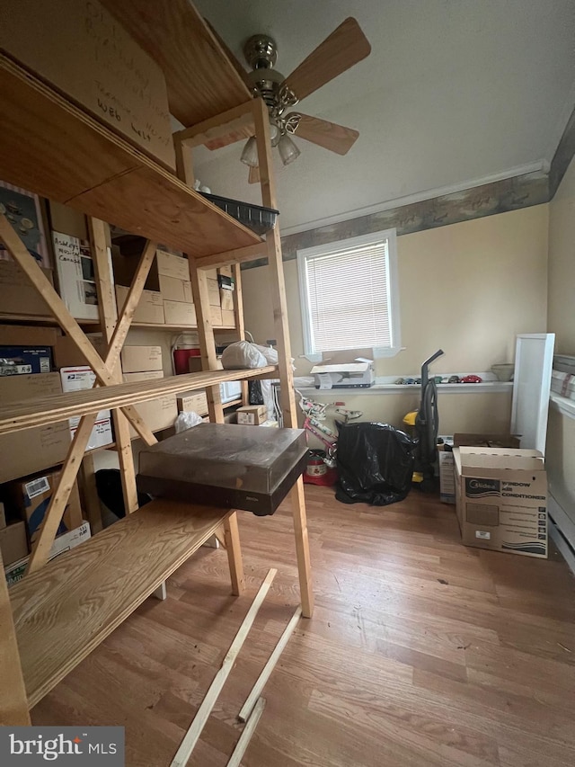 30 Foggy Bottom Ln, Berkeley Springs, WV 25411 - interior space featuring ornamental molding, hardwood / wood-style floors, and ceiling fan