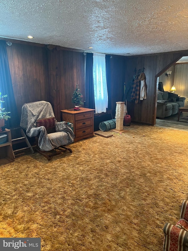 30 Foggy Bottom Ln, Berkeley Springs, WV 25411 - living area featuring carpet, a textured ceiling, and wood walls