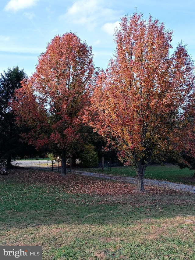30 Foggy Bottom Ln, Berkeley Springs, WV 25411 - view of yard