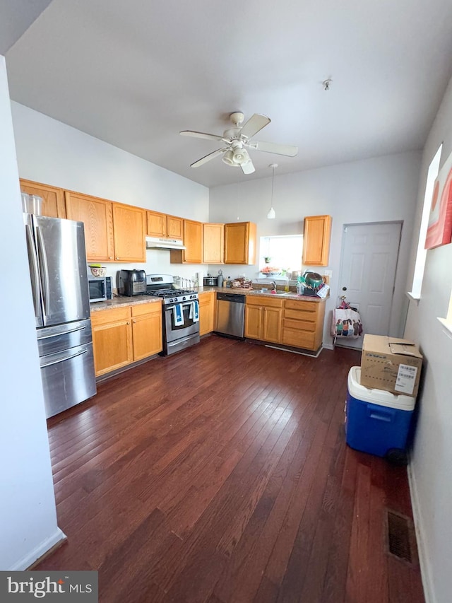 kitchen featuring ceiling fan, appliances with stainless steel finishes, and dark hardwood / wood-style flooring