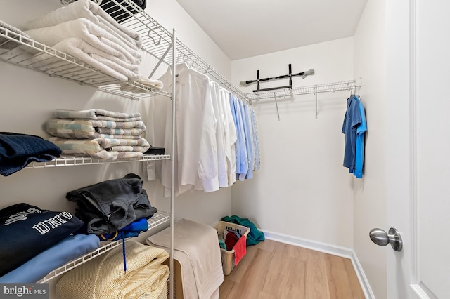 spacious closet featuring hardwood / wood-style floors