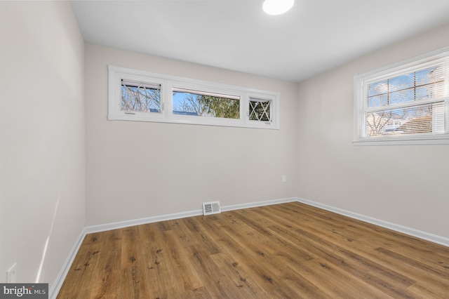 empty room featuring a wealth of natural light and wood-type flooring