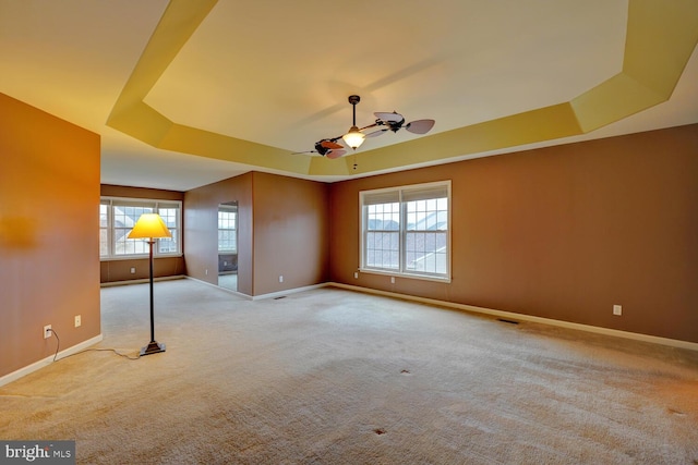 empty room with light carpet, a wealth of natural light, and a raised ceiling