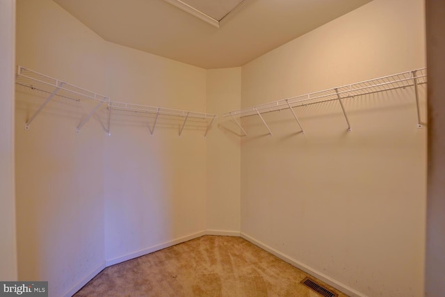 walk in closet featuring carpet flooring