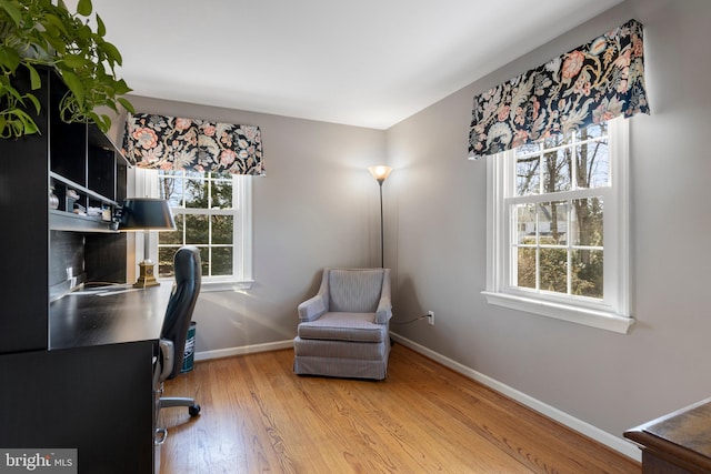 office space featuring hardwood / wood-style flooring