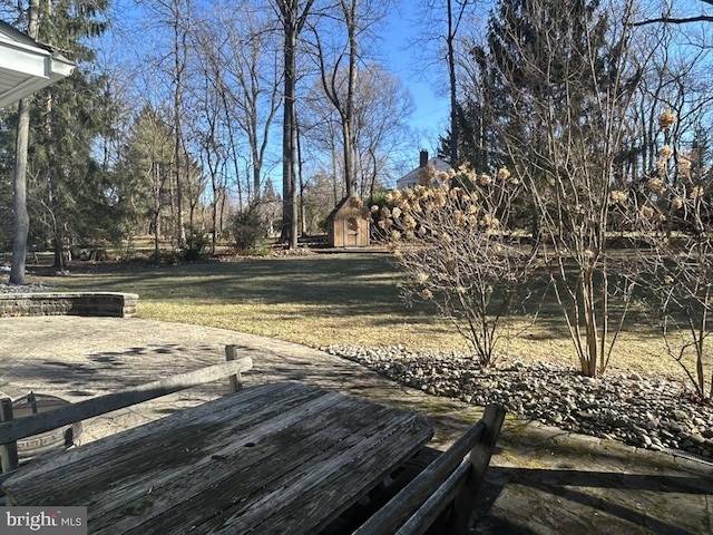 view of yard featuring a patio area