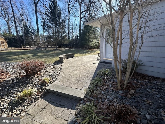 view of yard featuring a patio area