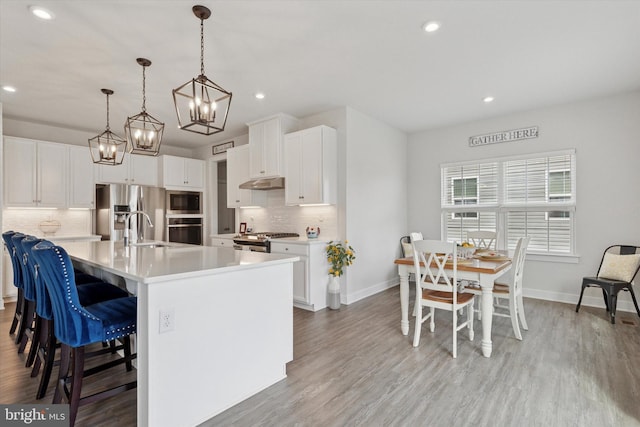 kitchen featuring tasteful backsplash, under cabinet range hood, light countertops, light wood-style floors, and stainless steel appliances