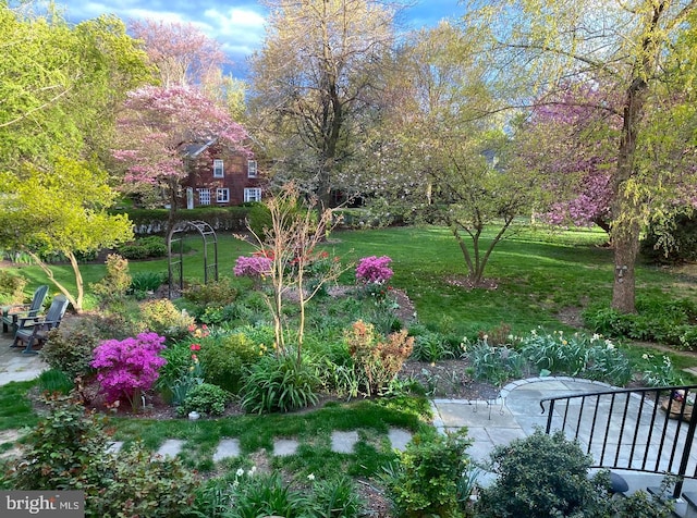 view of yard featuring a patio