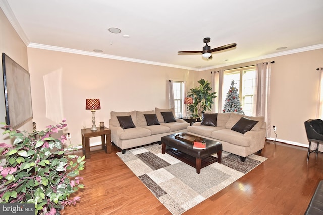 living room with hardwood / wood-style flooring, ceiling fan, and ornamental molding