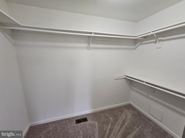 walk in closet featuring carpet flooring