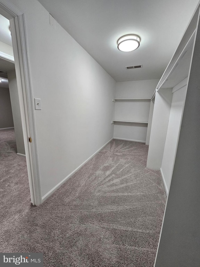 walk in closet featuring carpet floors