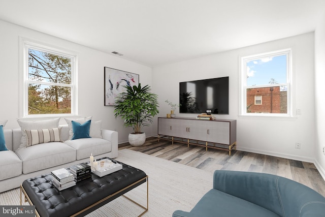 living room with wood-type flooring