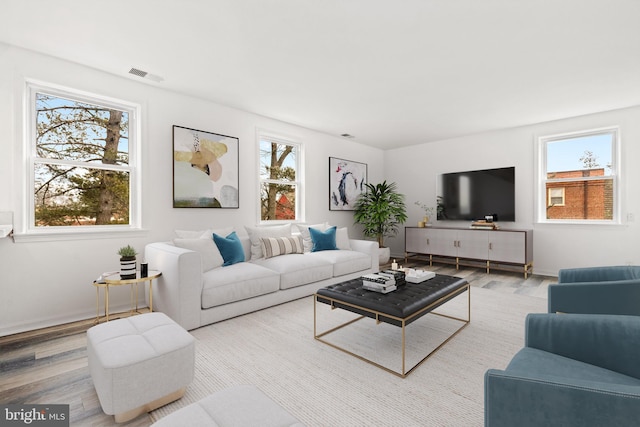 living room featuring hardwood / wood-style floors