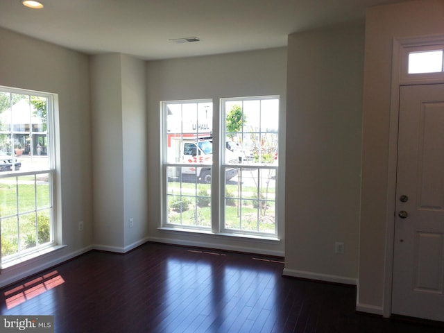 entrance foyer featuring dark wood-style flooring and a healthy amount of sunlight