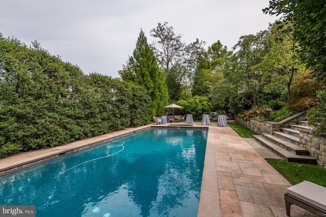 pool with a patio area